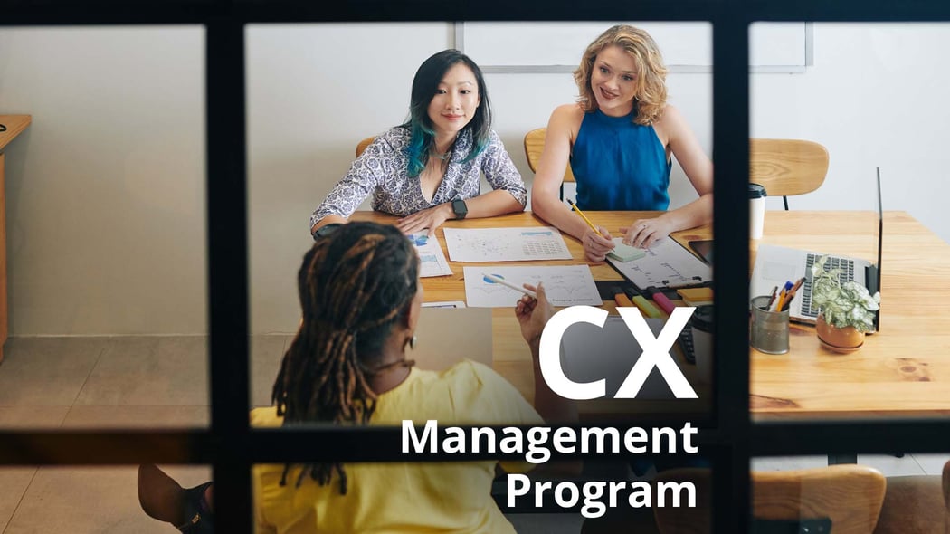 Customer Experience Management Program