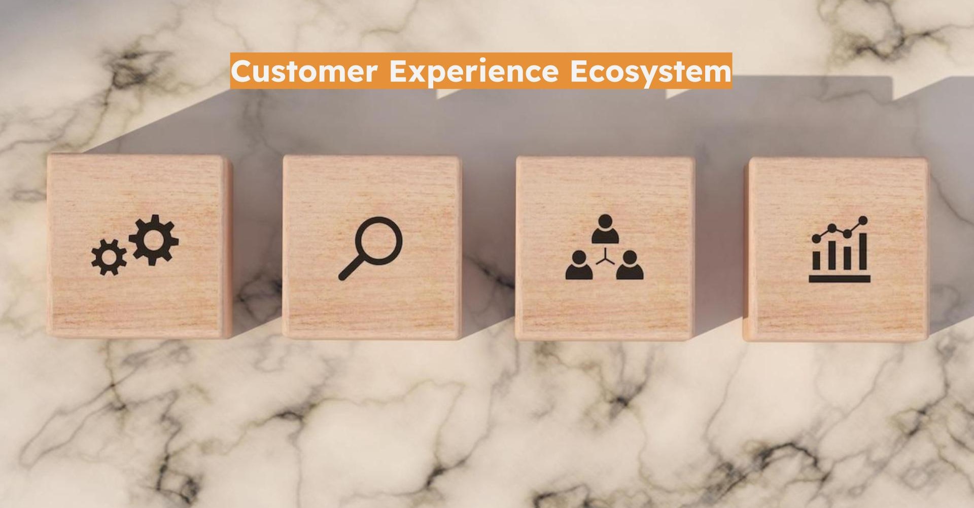 Customer Experience Ecosystem