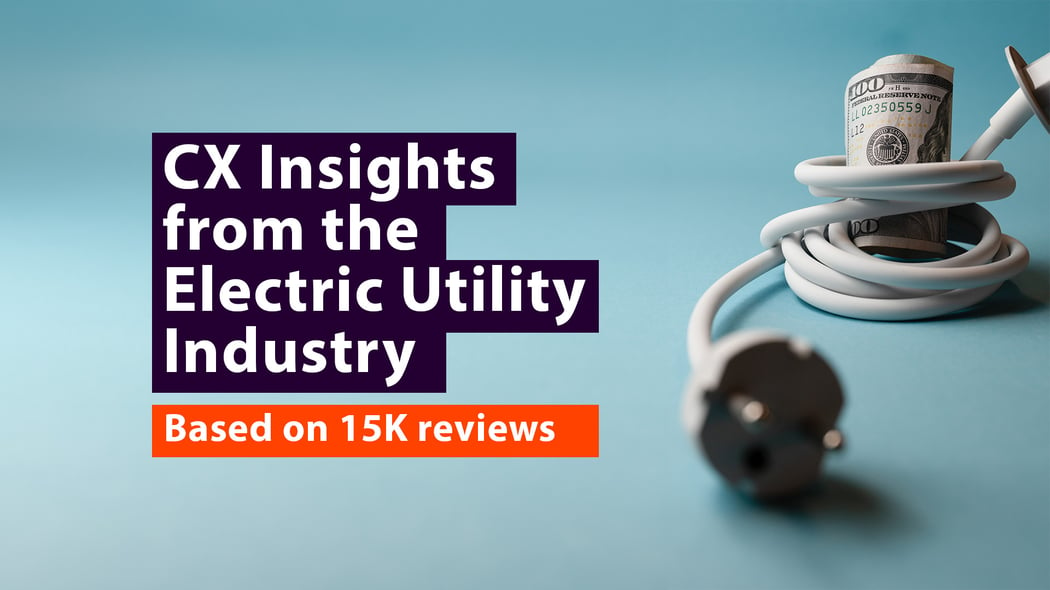 Customer Experience Insights Analyzing 15K Reviews of 25 Electric Utility Companies