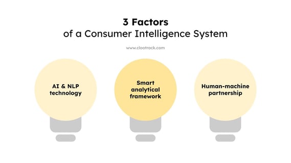 3 Factors of a Consumer Intelligence System