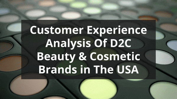 Customer Experience Analysis Of D2C Beauty and Cosmetic Brands in The USA