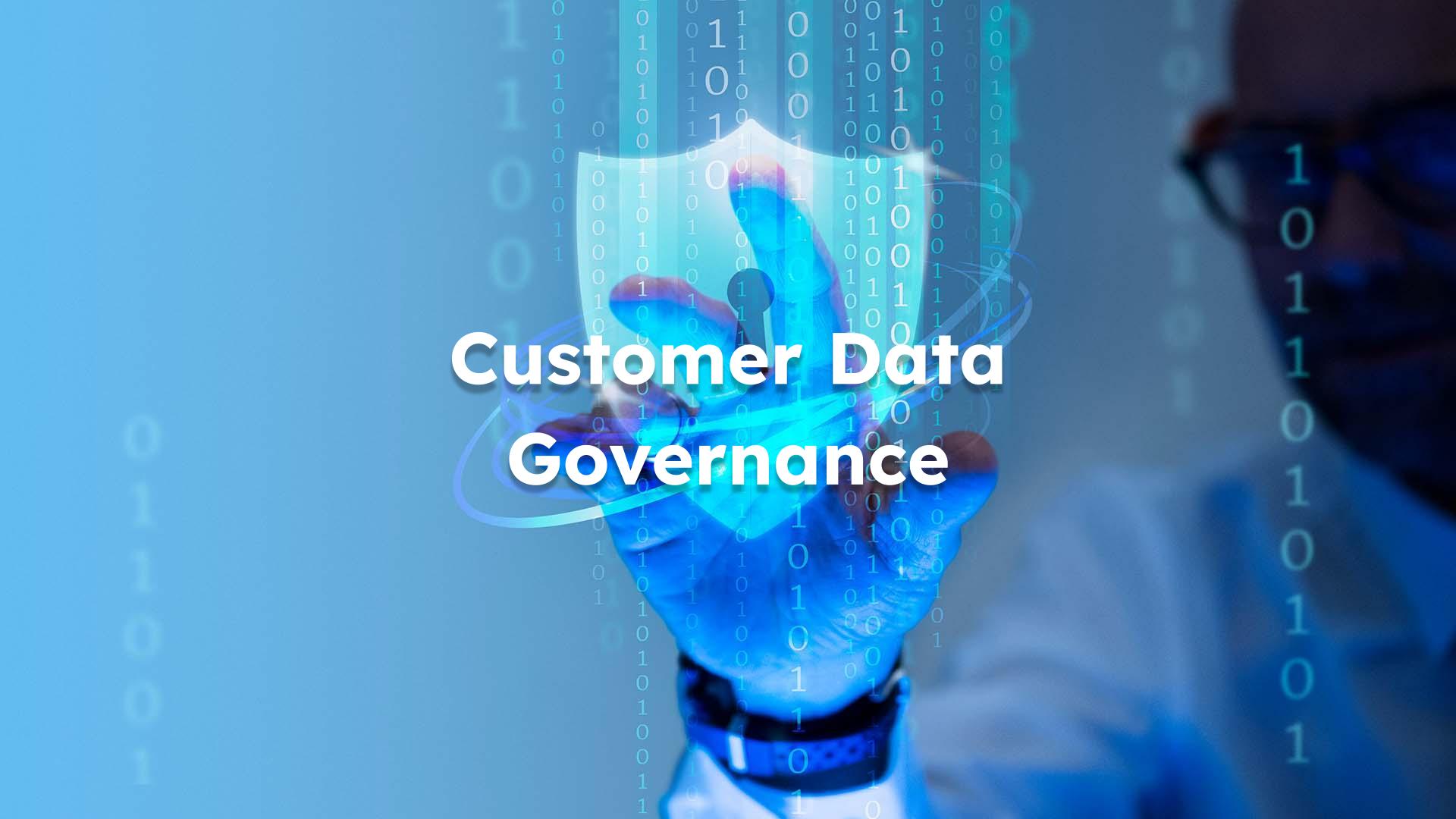 Customer Data Governance
